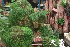 太原假山石盆景